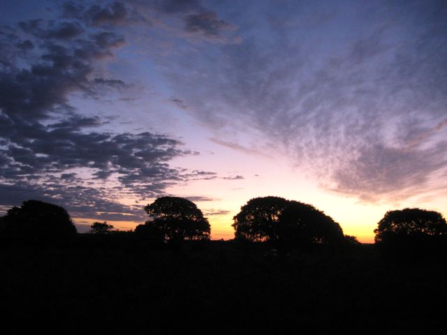 c0188527_095098.jpg