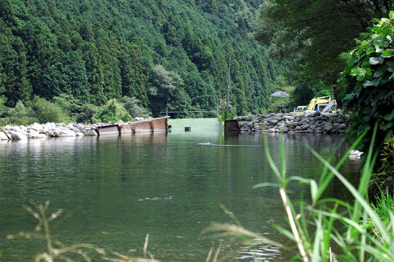 c0192930_17382535.jpg