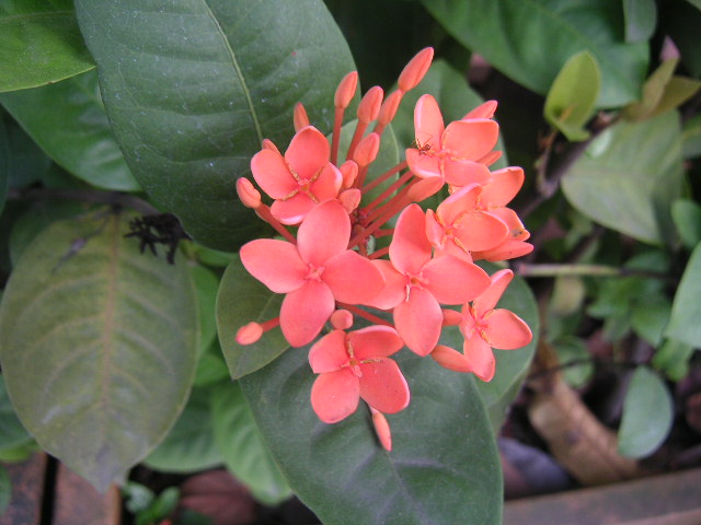c0127933_1342585.jpg