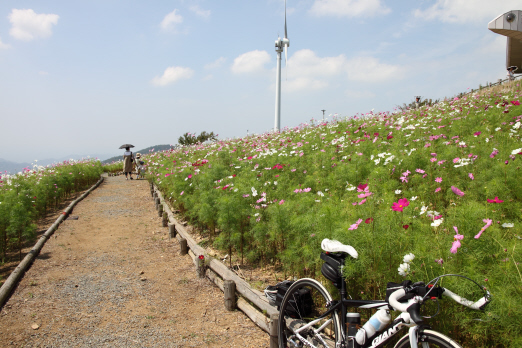 鷲ヶ峰コスモスパーク_f0196634_211016.jpg