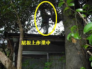 f0031037_22917.jpg