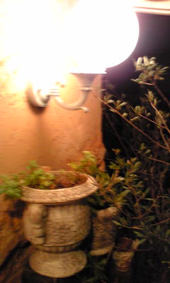 a0094140_17202339.jpg