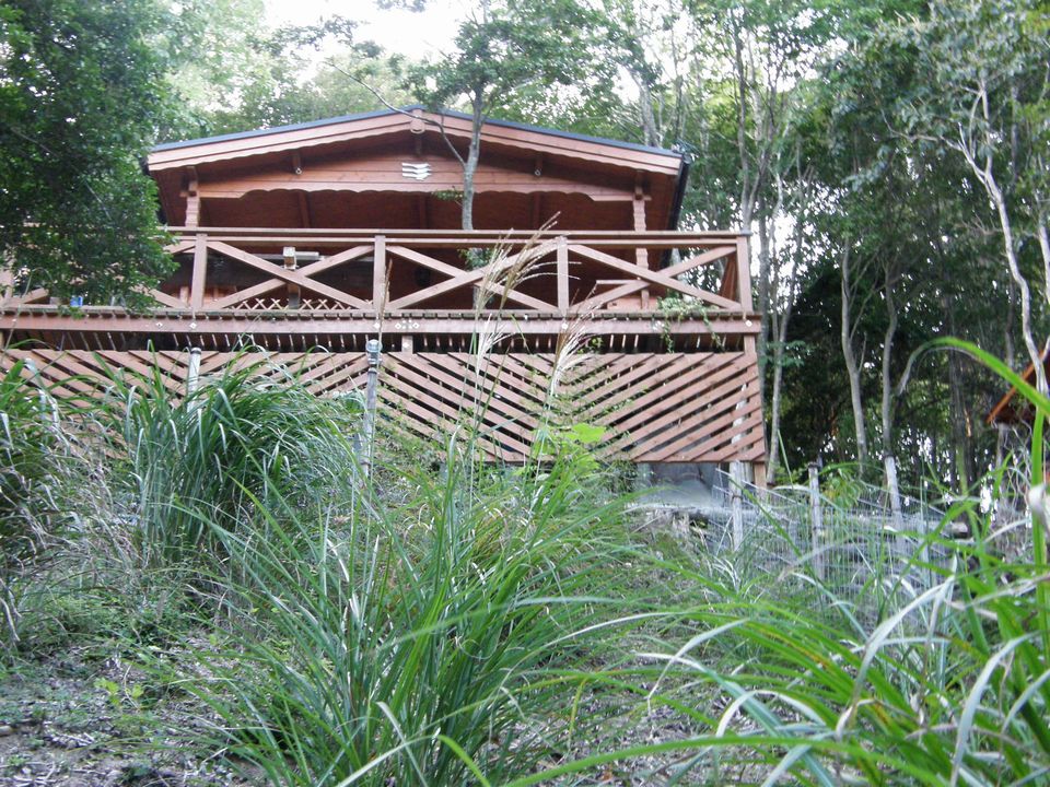 f0090444_21353641.jpg