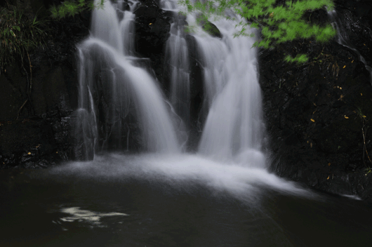 c0093046_0251219.gif