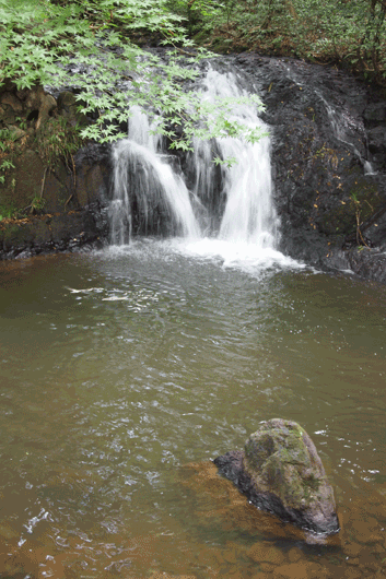 c0093046_0252967.gif