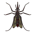 e0180752_18255940.gif
