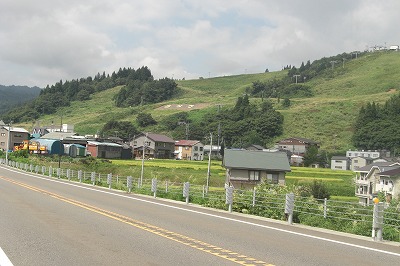 浦佐スキー場の花_a0084753_11311100.jpg