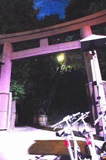 c0047856_20295329.jpg