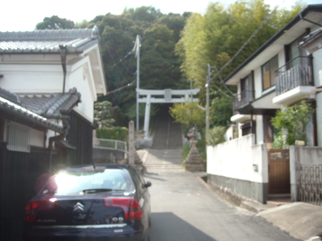 近所の神社_d0137658_048402.jpg