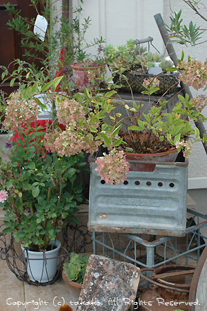 c0070460_9341568.jpg