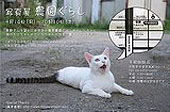 9月の猫イベント_f0206064_10213263.jpg