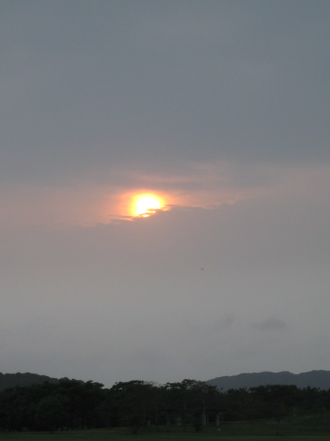 e0156765_941788.jpg