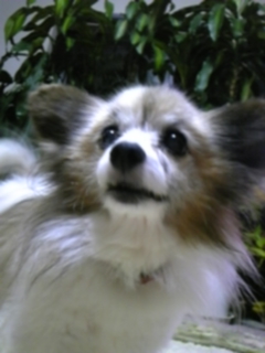 f0077270_0554672.jpg