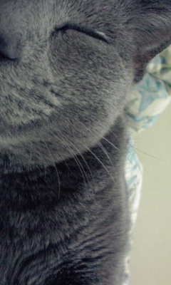 f0200871_1214148.jpg