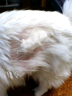 f0054677_9143372.jpg