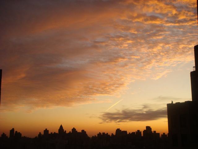 d0100880_2227941.jpg