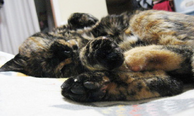 f0091785_20194966.jpg