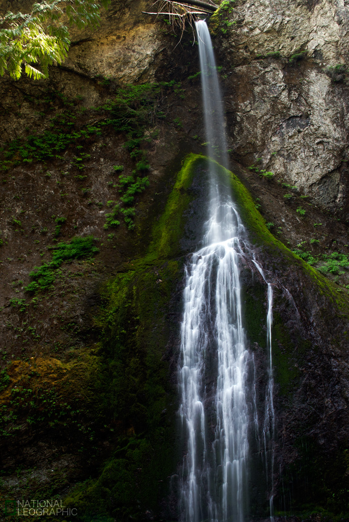 Olympic National Park Day 2: Marymere Falls._c0080101_15261614.jpg