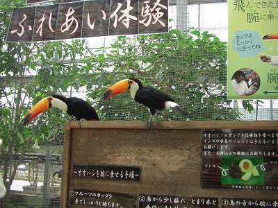 c0125501_1547090.jpg