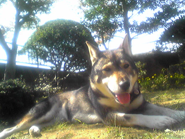 f0079202_18451379.jpg