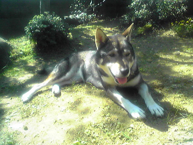 f0079202_1845138.jpg