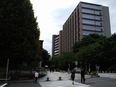 d0149103_1631695.jpg