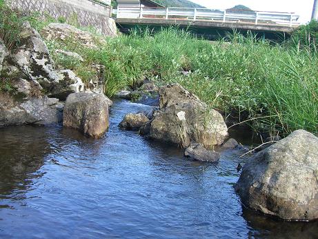 c0170905_55849.jpg