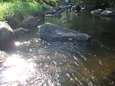 c0170905_603239.jpg