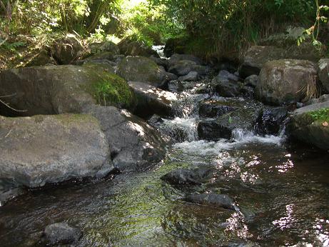 c0170905_615015.jpg