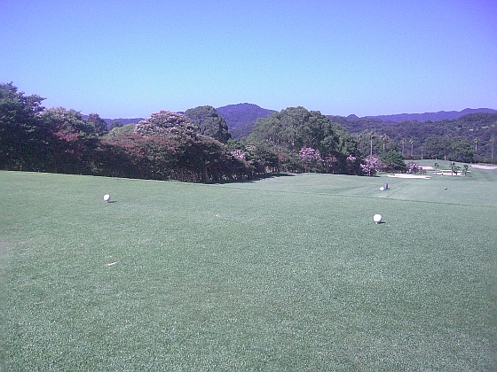 c0110906_18474416.jpg