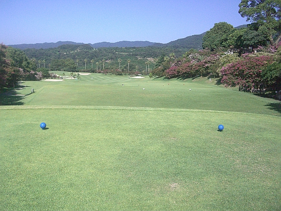 c0110906_1848066.jpg