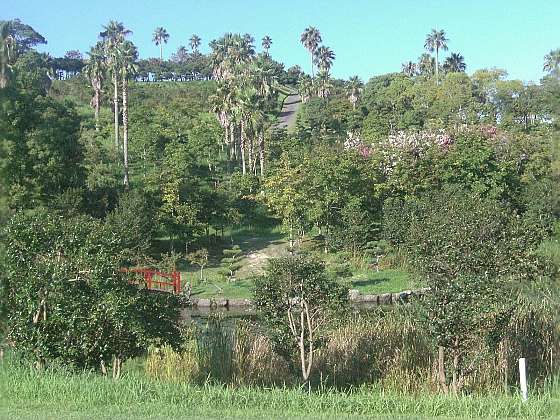 c0110906_18582119.jpg