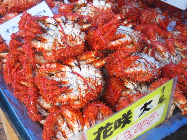休日その1 2009根室かに祭り!_b0042308_21224010.jpg