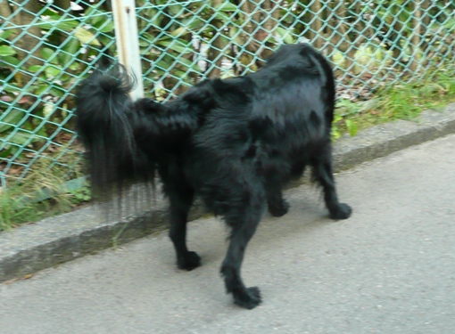 c0097309_107308.jpg