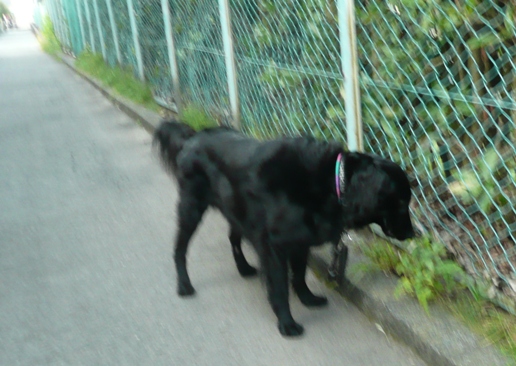 c0097309_1092442.jpg