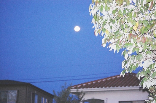 c0097309_11453123.jpg