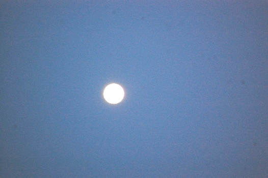 c0097309_11462454.jpg