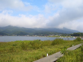 心に咲く花は君の香り♪_c0030112_13385739.jpg