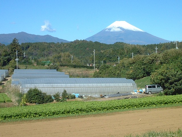 f0182513_114192.jpg