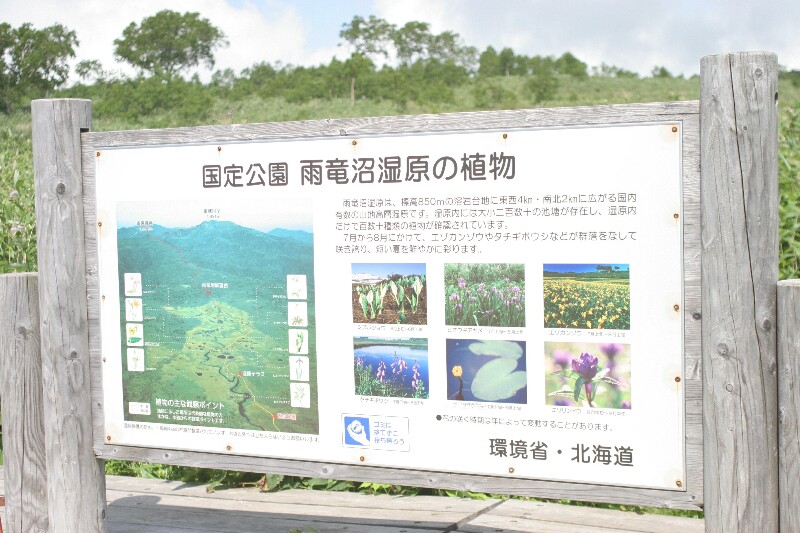 d0070814_1195145.jpg