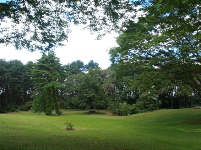 仙台市野草園_e0118315_1413951.jpg