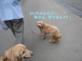 8月最後の土日に　川遊び_e0136815_1346784.jpg