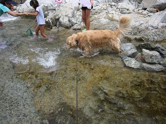 8月最後の土日に　川遊び_e0136815_1347514.jpg