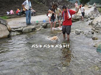 8月最後の土日に　川遊び_e0136815_13515189.jpg