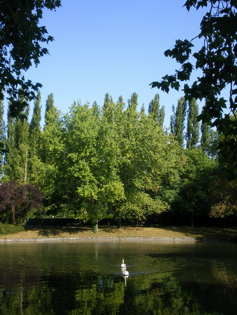 c0124619_2122848.jpg