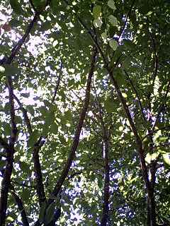 b0102023_2421955.jpg