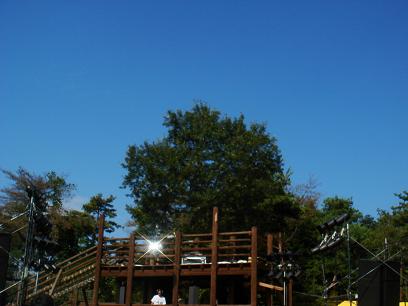 b0142224_23242861.jpg