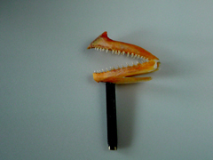 a0077930_17232138.jpg