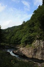 a0123331_21435652.jpg