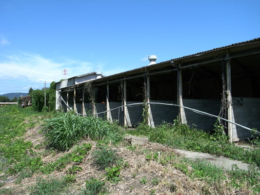 c0182231_21244134.jpg